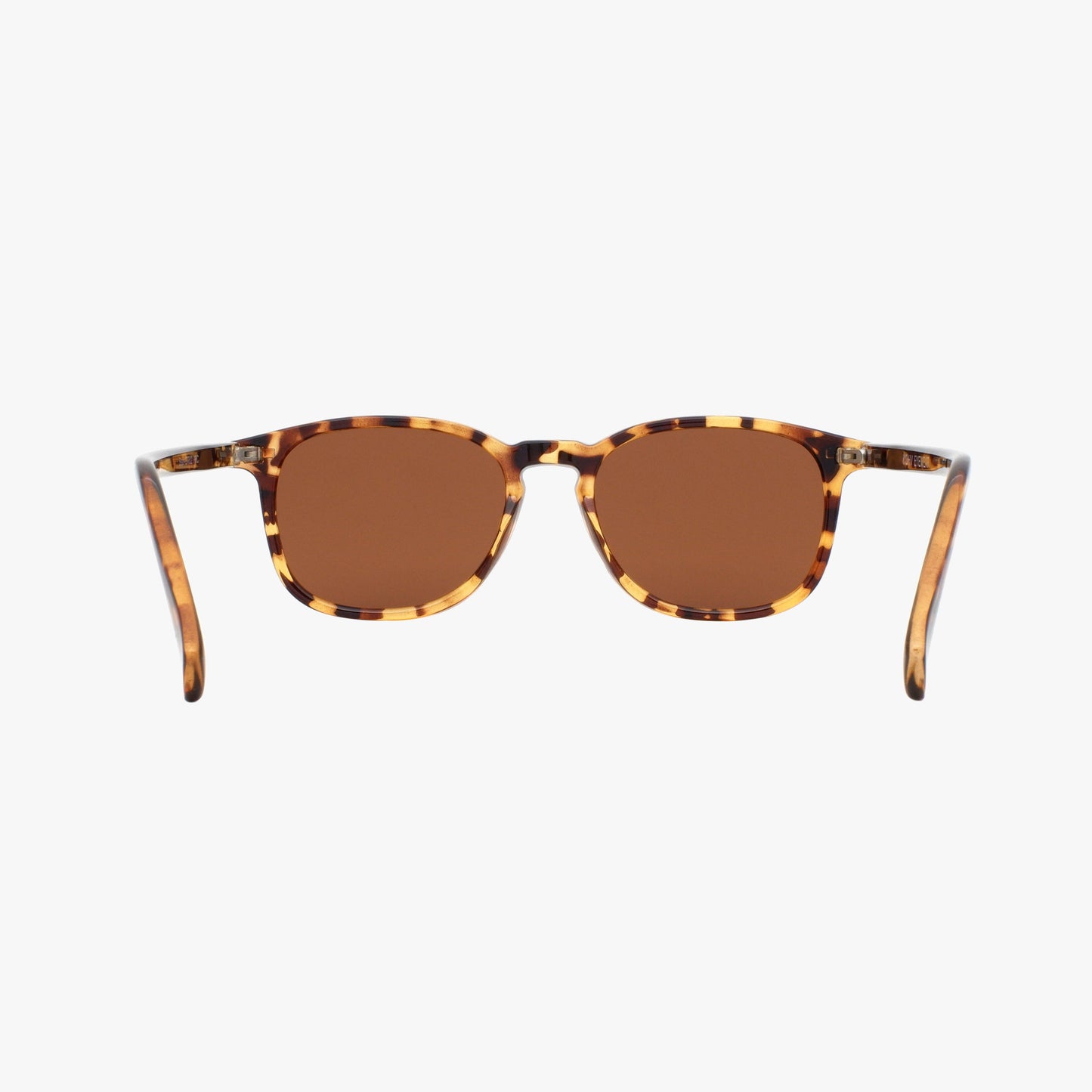 BEAN CLASSIC TORTOISE - POLARIZED - WHOLESALE