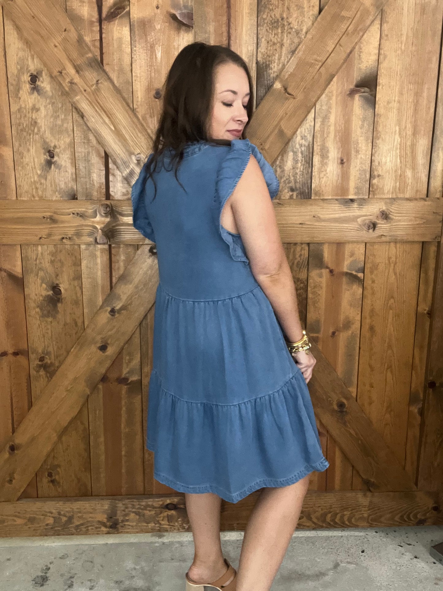 Daydream Denim Dress