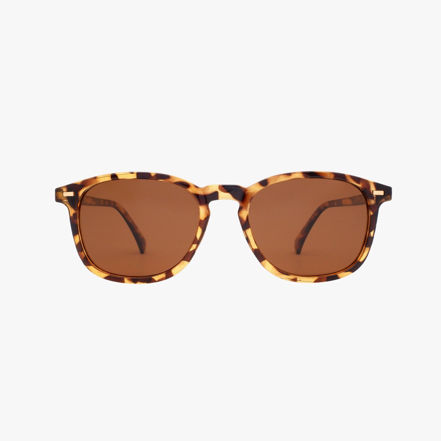 BEAN CLASSIC TORTOISE - POLARIZED - WHOLESALE