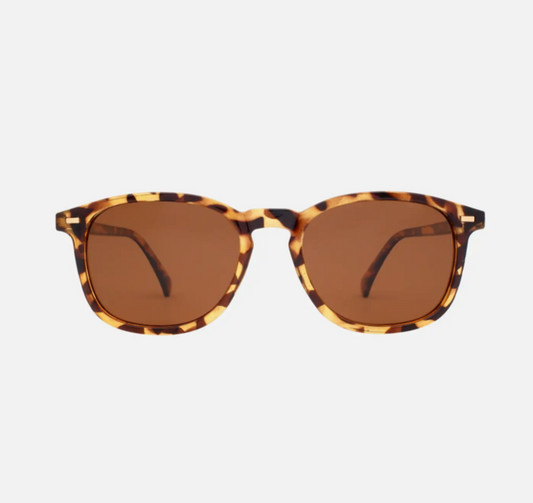 Bean Classic Tortoise Sunglasses