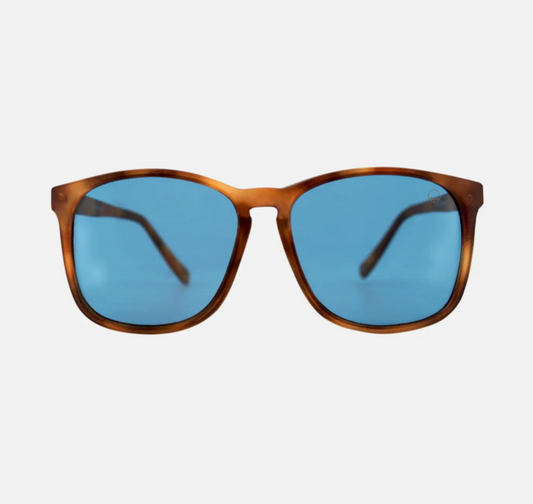 Carns Amber Tortoise Sunglasses