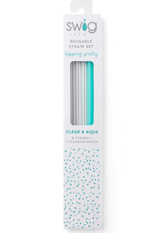Clear + Aqua Reusable Straw Set