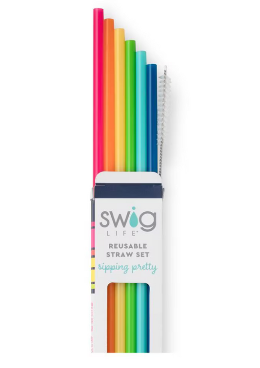 Rainbow Reusable Straw Set